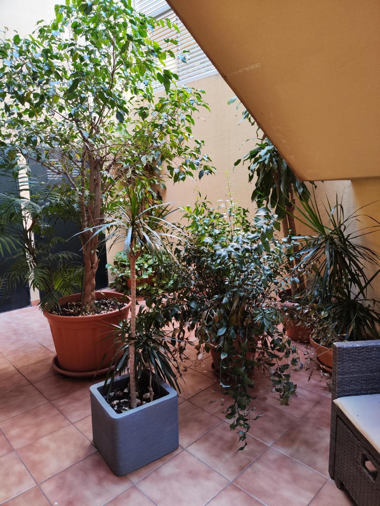 Ferienwohnung Malaga Experience Exterior foto