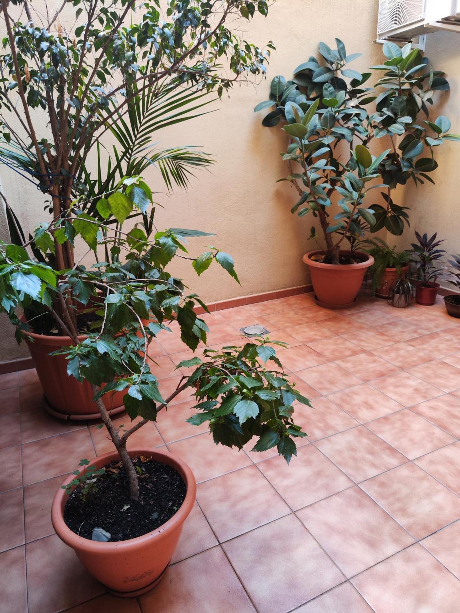 Ferienwohnung Malaga Experience Exterior foto